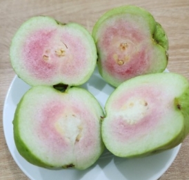 Ổi nữ hoàng