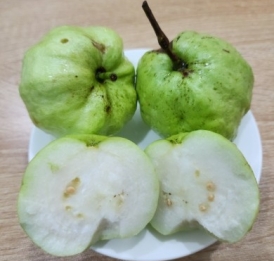 Ổi nữ hoàng 