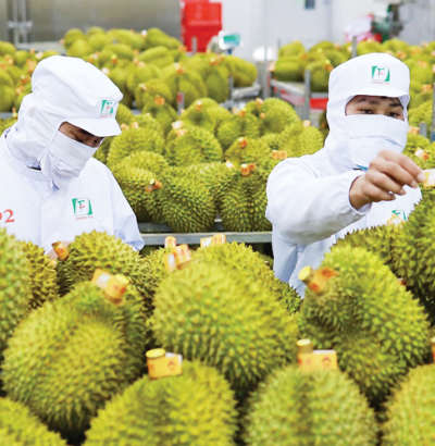 Hàng đông lạnh
