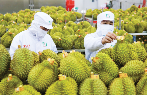 Hàng đông lạnh